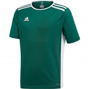 Preisvergleich für Sportbekleidung: Trikot ENTRADA 18 JSYY  (recycelt) dunkelgrün Gr. 164 Jungen Kinder