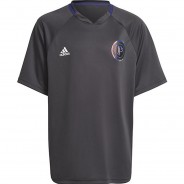Preisvergleich für Sportbekleidung: Trikot POGBA JERSEY  (recycelt) grau/weiß Gr. 164 Jungen Kinder