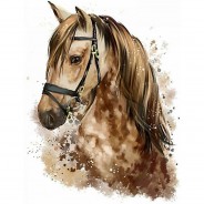 Preisvergleich für Wandtattoos: Wandtattoo 085 Wandtattoo Pferd Kopf braun Kinderzimmer Sticker Aufkleber Wandtattoos Gr. 25 x 25