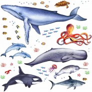 Preisvergleich für Wandtattoos: Wandtattoo 166 Tiere der Meere - Blauwal, Hai, Delfin, Orca in 6 vers. Größen Wandtattoos blau Gr. 75 x 100 - 100 x 100