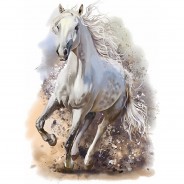 Preisvergleich für Wandtattoos: Wandtattoo 179 Pferd weiß - Mädchen Kinderzimmer Sticker in 5 vers. Größen Wandtattoos bunt Gr. 25 x 25