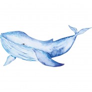 Preisvergleich für Wandtattoos: Wandtattoo Aquarell Wal im Meer Wandtattoos blau Gr. 120 x 55
