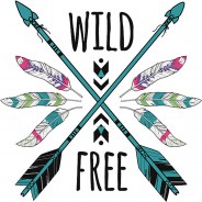 Preisvergleich für Wandtattoos: Wandtattoo Federn und Pfeile - Wild and Free Wandtattoos mehrfarbig Gr. 80 x 80
