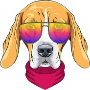 Preisvergleich für Wandtattoos: Wandtattoo Hund mit Sonnenbrille Wandtattoos mehrfarbig Gr. 60 x 60