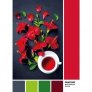 Preisvergleich für Puzzle: Clementoni Pantone - Goji Berry 1000 Teile Puzzle Clementoni-39494