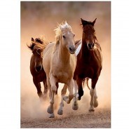 Preisvergleich für Puzzle: Clementoni Wildpferde im Galopp 1000 Teile Puzzle Clementoni-39168