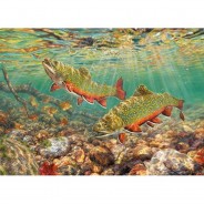 Preisvergleich für Puzzle: Cobble Hill / Outset Media Brook Trout 1000 Teile Puzzle Cobble-Hill-80343