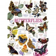 Preisvergleich für Puzzle: Cobble Hill / Outset Media Butterfly Collection 1000 Teile Puzzle Cobble-Hill-80015