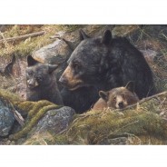 Preisvergleich für Puzzle: Cobble Hill / Outset Media Twice the Love 1000 Teile Puzzle Cobble-Hill-80012