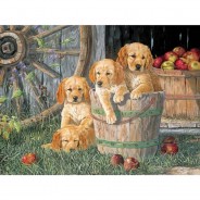 Preisvergleich für Puzzle: Cobble Hill / Outset Media XXL Teile - Puppy Pail 350 Teile Puzzle Cobble-Hill-54638