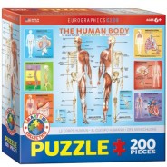Preisvergleich für Puzzle: Eurographics Der Menschliche 200 Teile Puzzle Eurographics-6200-1000