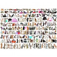 Preisvergleich für Puzzle: Eurographics Katzenwelt 1000 Teile Puzzle Eurographics-6000-0580