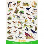 Preisvergleich für Puzzle: Eurographics Vögel (englischer Text) 1000 Teile Puzzle Eurographics-6000-1259