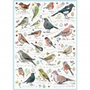 Preisvergleich für Puzzle: Otter House Puzzle Birdsong 1000 Teile Puzzle Otter-House-Puzzle-75087