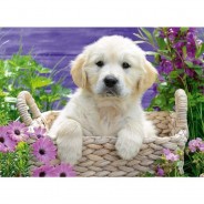 Preisvergleich für Puzzle: Süßer Golden Retriever