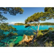 Preisvergleich für Puzzle: Schöne Aussicht
