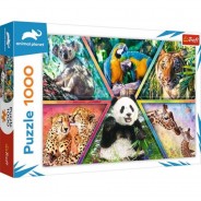 Preisvergleich für Puzzle: Trefl Animal Kingdom 1000 Teile Puzzle Trefl-10672