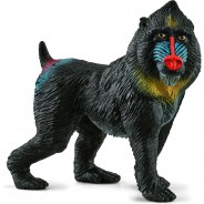 Preisvergleich für Sammel & Spielfiguren: Schleich Wild Life 14856 Mandrill